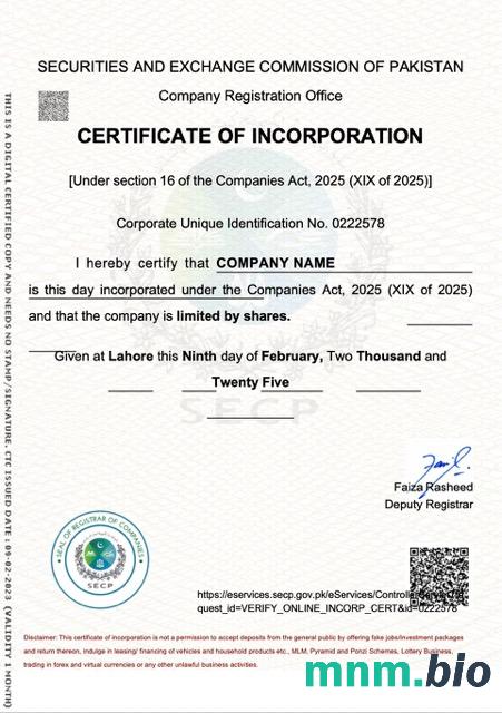 Pakistan vcertyfikat of inkorporacja Word i szablon PDF
